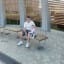 Andrey