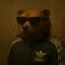 SiberianBear38