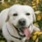Kirill_2024
