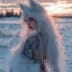 Polar_Night23