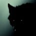 SilentWolf88