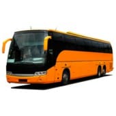 Автобусы