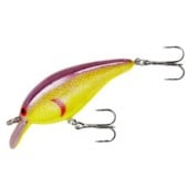 Приманки и прикормки