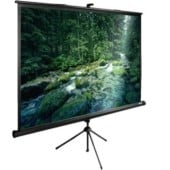 Проекторы и экраны